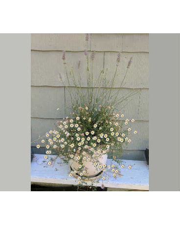 Customized Garden Planter~2